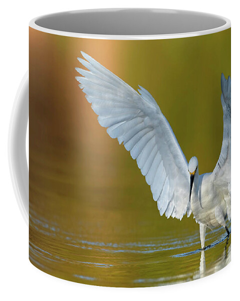 Snowy Egret Coffee Mug featuring the photograph Pre-dawn Hunting. by Paul Martin