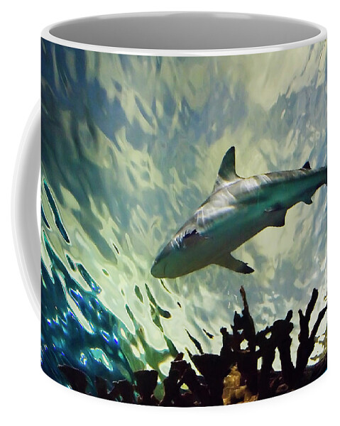 Bull Shark Coffee Mug featuring the photograph Predator of the Sea by Jill Love