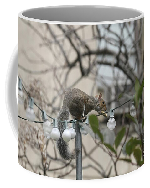 Animals Coffee Mug featuring the photograph Preparing for Takeoff by Patricia Youngquist