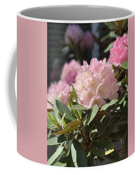 Rhododendron Coffee Mug featuring the photograph Pretty in Pink by Juliette Becker