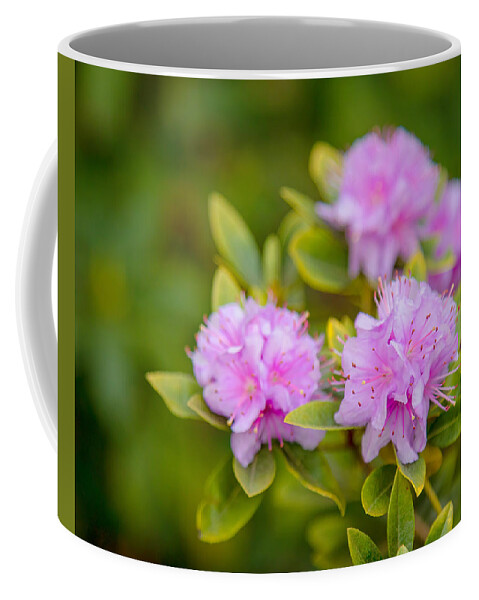 Rhododendron Coffee Mug featuring the photograph Pretty in Pink by Rod Best