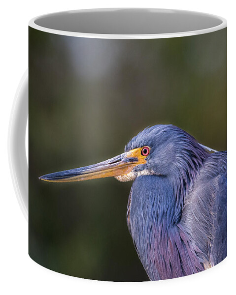 Heron Coffee Mug featuring the photograph Profile by Les Greenwood