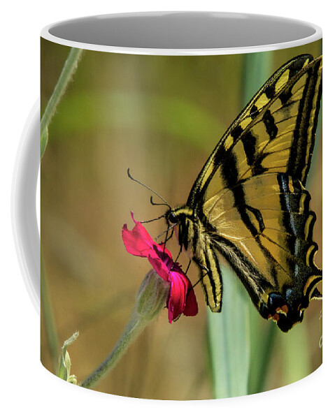 Western Tiger Swallowtail Coffee Mug featuring the photograph Profile of Western Tiger Swallowtail by Nancy Gleason