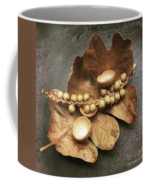 Oak Coffee Mug featuring the photograph Promise to Return by Jennifer Preston