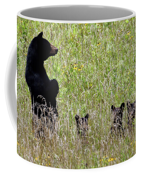 Tennessee Coffee Mug featuring the photograph Protective Black Bear by Jennifer Robin