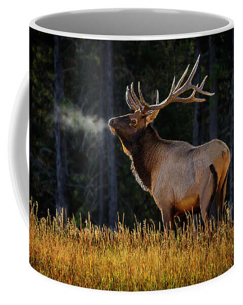 Gary Johnson Coffee Mug featuring the photograph Proud Bull Elk by Gary Johnson