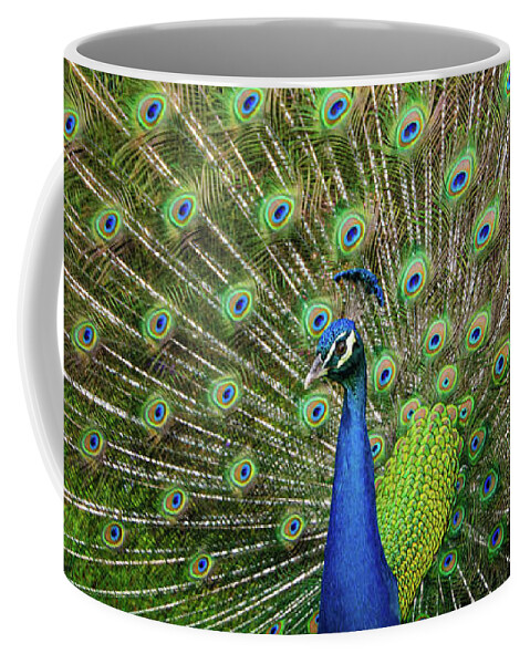 Peacock Coffee Mug featuring the photograph Proud Peacock by Louise Tanguay