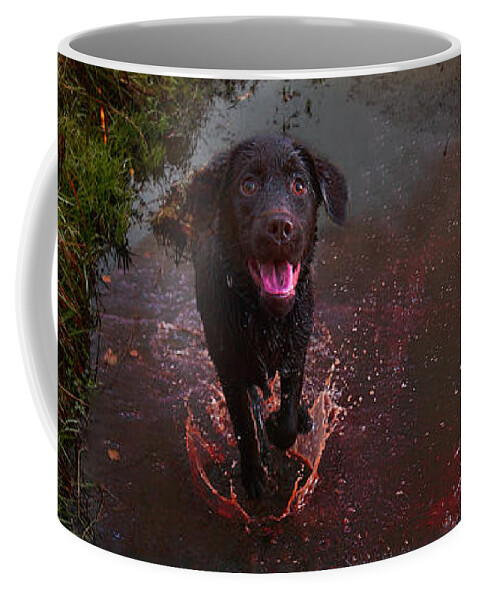Chocolate Lab Coffee Mug featuring the mixed media Puddle Jumper Dog Joyfully Splashing in Rain Puddle by Shelli Fitzpatrick