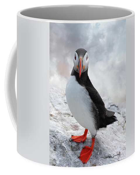 Bird Coffee Mug featuring the photograph Puffin by Sue Leonard
