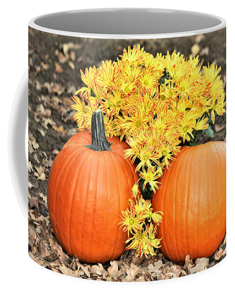 Nature Coffee Mug featuring the photograph Pumpkins and Mums by Sheila Brown