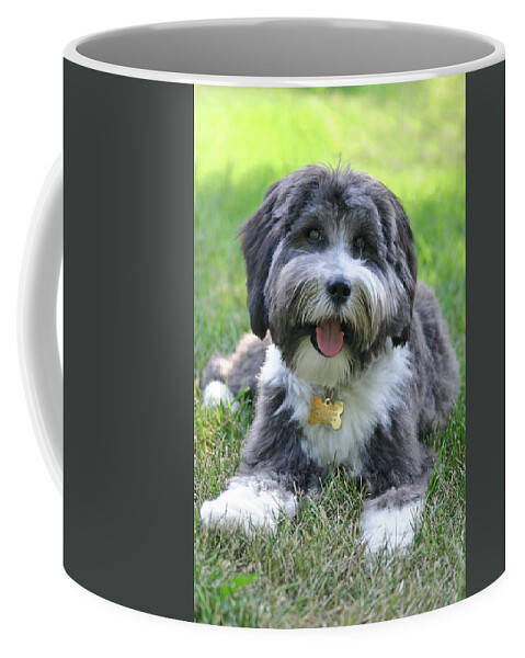 Dog Coffee Mug featuring the photograph Puppy Love by Patty Colabuono