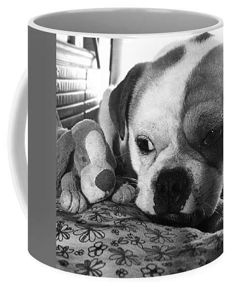 Puppy Coffee Mug featuring the photograph Puppy Love by Shelli Fitzpatrick