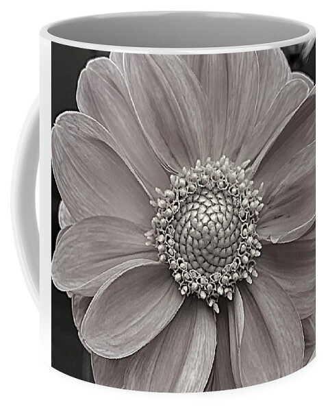 Flower Coffee Mug featuring the photograph Purity BW by Lee Darnell