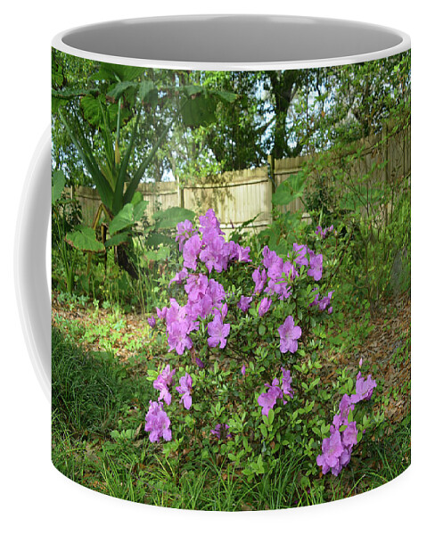 Azalea Coffee Mug featuring the photograph Purple Azaleas and Elephant Ears by Aimee L Maher ALM GALLERY