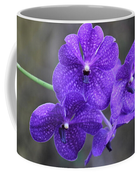 Purple Coffee Mug featuring the photograph Purple/Blue Orchid by Yvonne M Smith