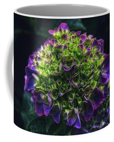 Photo Coffee Mug featuring the photograph Purple Crown by Evan Foster