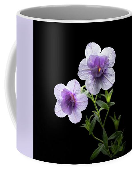 Purple Coffee Mug featuring the photograph Fireworks in Purple by Kevin Suttlehan