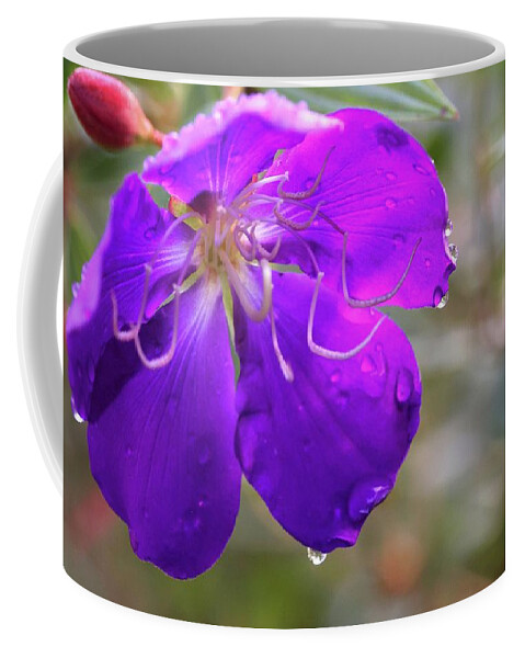 Purple Flower Coffee Mug featuring the photograph Purple Flower by Mingming Jiang