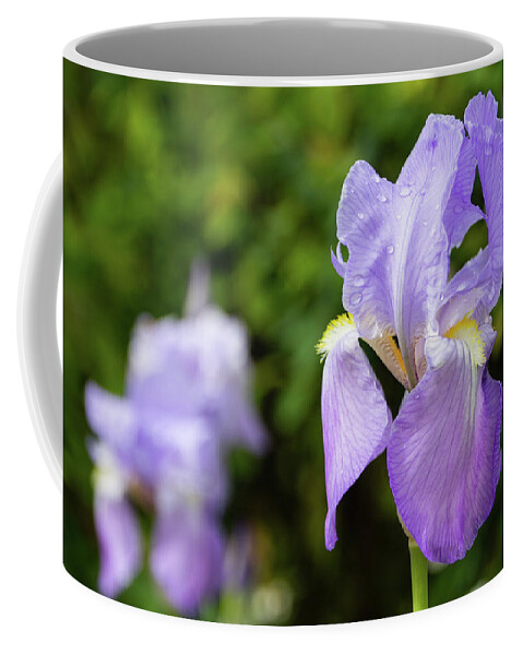 Iris Coffee Mug featuring the photograph Purple iris by Fabiano Di Paolo
