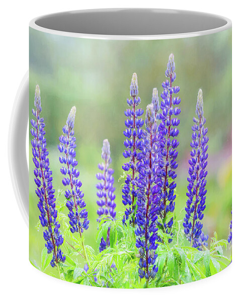 Lupine Coffee Mug featuring the photograph Purple Lupine in the Rain by Anita Pollak