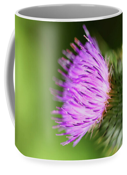 Milk Thistle Coffee Mug featuring the photograph Purple Milk Thistle Wildflower by Tracie Schiebel