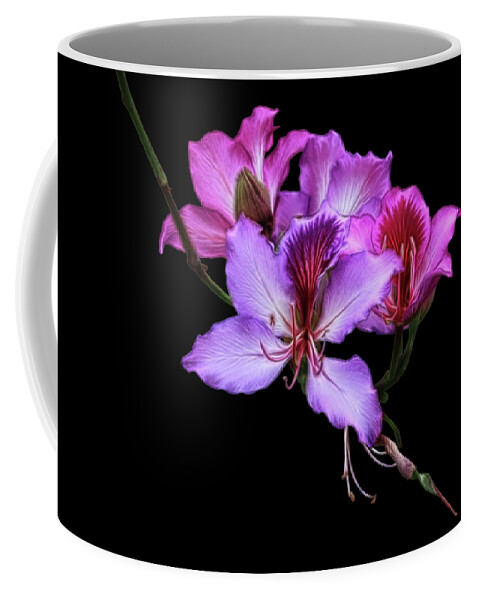 Orchid Coffee Mug featuring the photograph Purple Orchids by Shane Bechler