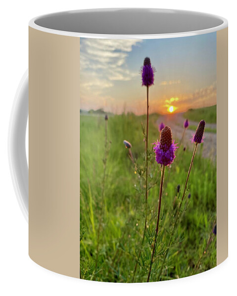 Purple Prairie Clover Coffee Mug featuring the photograph Purple Prairie Clover by Alex Blondeau
