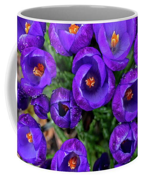 Spring Coffee Mug featuring the photograph Purple Rain by Kevin Suttlehan