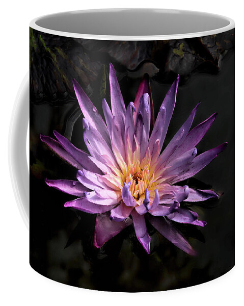 Flowers Coffee Mug featuring the photograph Purple Waterlily by Minnie Gallman