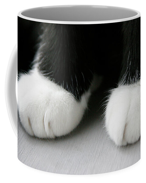 Cats Coffee Mug featuring the photograph Purrrrfect Boots by Renee Spade Photography