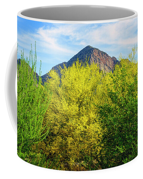 Arizona Coffee Mug featuring the photograph Pusch Peak Spring 25093 by Mark Myhaver