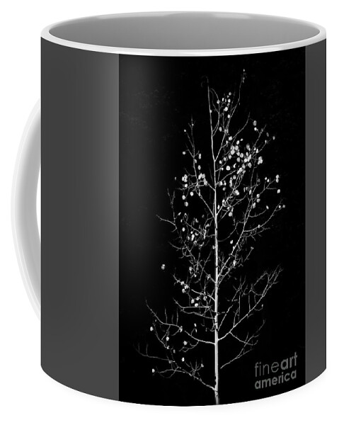 10k Trail Coffee Mug featuring the photograph Quaking Leaves by Maresa Pryor-Luzier