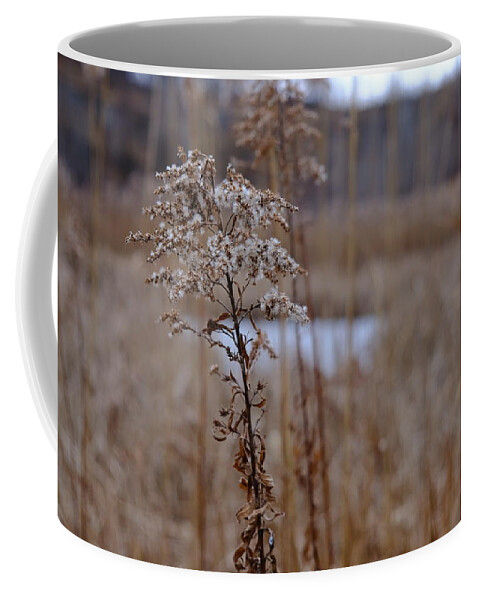 Color Coffee Mug featuring the photograph Quarry Whisp And Pond - Detail by Kreddible Trout