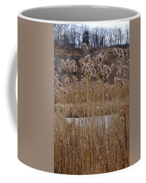 Nature Coffee Mug featuring the photograph Quarry Whisps And Pond by Kreddible Trout
