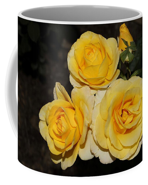 Roses Coffee Mug featuring the photograph Quartet of Fragrant Yellow Roses by Mingming Jiang