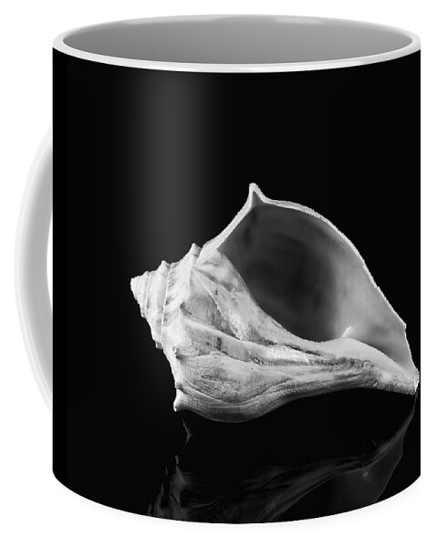 B&w Coffee Mug featuring the photograph Queen Conch Seashell by Anthony Sacco