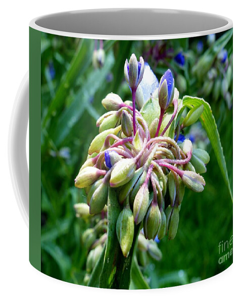 Stunning Coffee Mug featuring the photograph Queen Of The Garden by Rosanne Licciardi