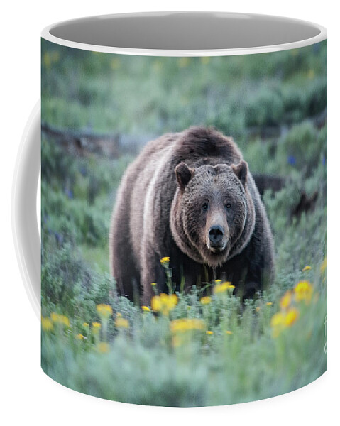 Wildlife Coffee Mug featuring the photograph Queen of the Tetons - 399 by Sandra Bronstein