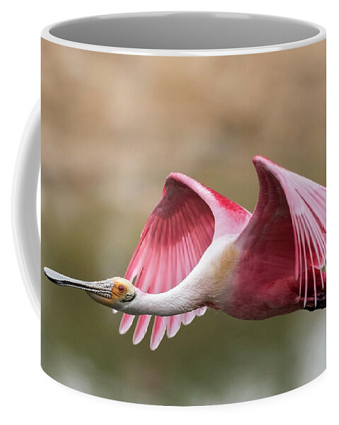 Roseate Spoonbill Coffee Mug featuring the photograph Quest for Nest Material by Puttaswamy Ravishankar