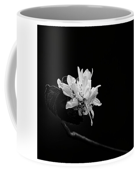 Flowers Coffee Mug featuring the photograph Quiet Beauty by Angela Moyer