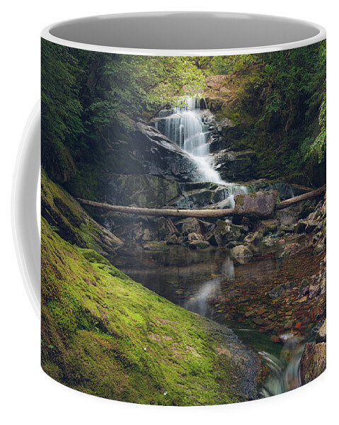 Waterfall Coffee Mug featuring the photograph Quiet Falls 2 by Michael Rauwolf