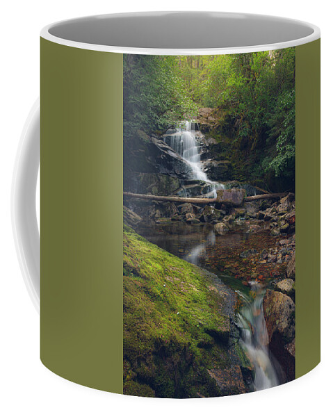 Waterfall Coffee Mug featuring the photograph Quiet Falls by Michael Rauwolf