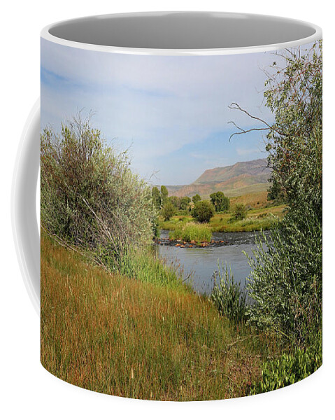 Water Coffee Mug featuring the photograph Quiet Morning by the Colorado River by Scott Kingery