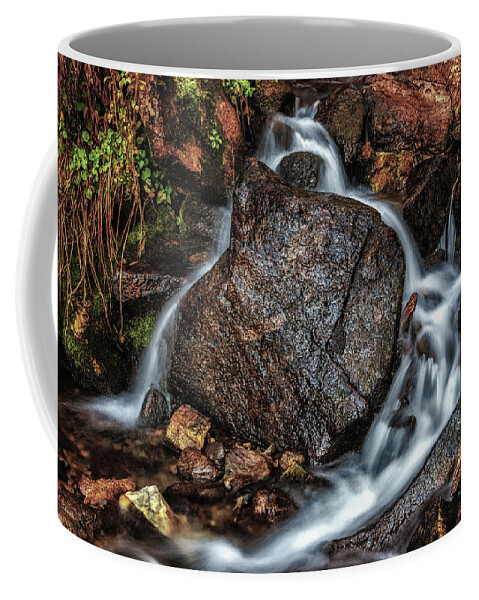 Artistic Coffee Mug featuring the photograph Quiet My Soul by Rick Furmanek