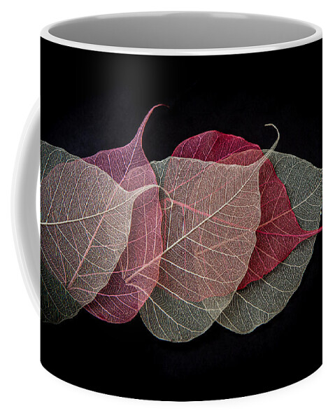 Still Life Coffee Mug featuring the photograph Quintet of Leaves with Signature by Maggie Terlecki