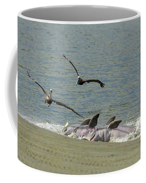 Dolphin Coffee Mug featuring the photograph Race for the Fish by Patricia Schaefer