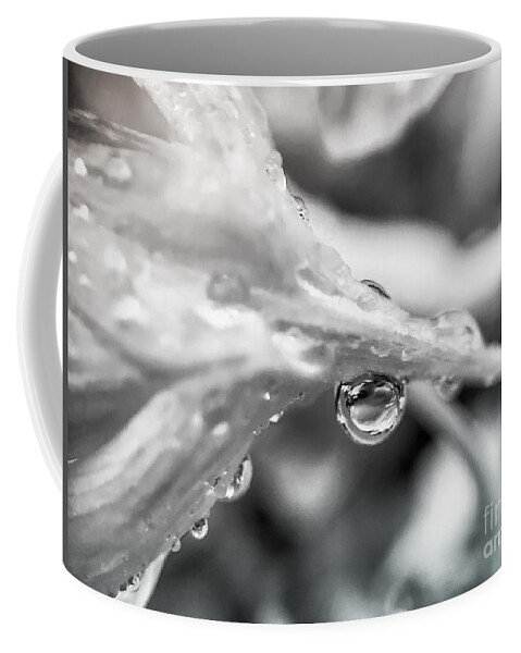 Macro Coffee Mug featuring the photograph Rain Drop Reflection 2 by Peggy Franz