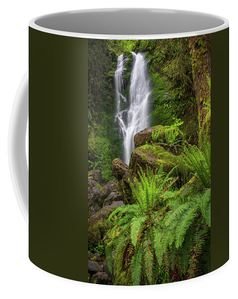 Quinault Rain Forest Coffee Mug featuring the photograph Rain forest waterfall by Robert Miller