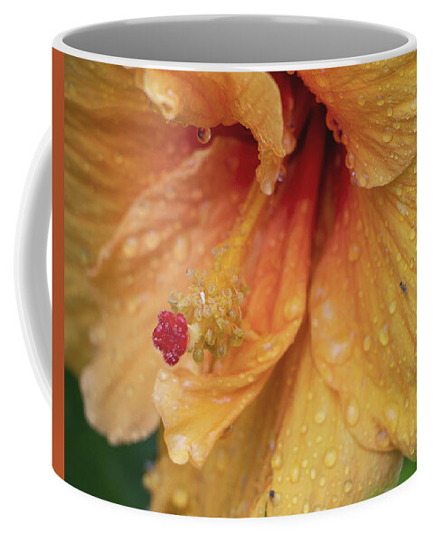 Hibiscus Coffee Mug featuring the photograph Rain Kissed by M Kathleen Warren
