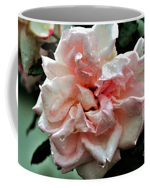 Raindrops Coffee Mug featuring the photograph Rain Rose by Tracey Lee Cassin
